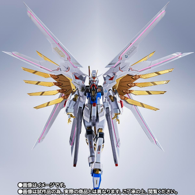 METAL ROBOT魂＜机动战士系列＞ 骄傲捍卫者与特效配件包