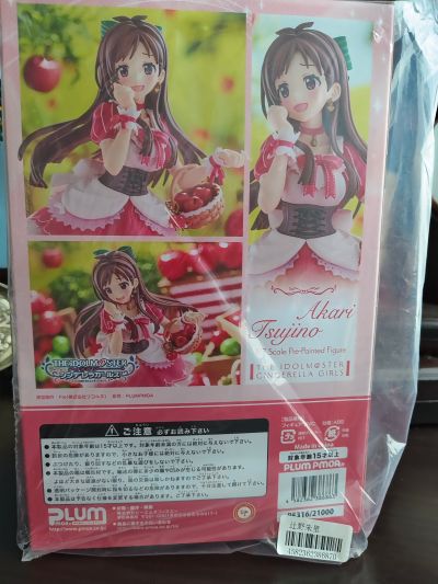 偶像大师 灰姑娘女孩 辻野朱里