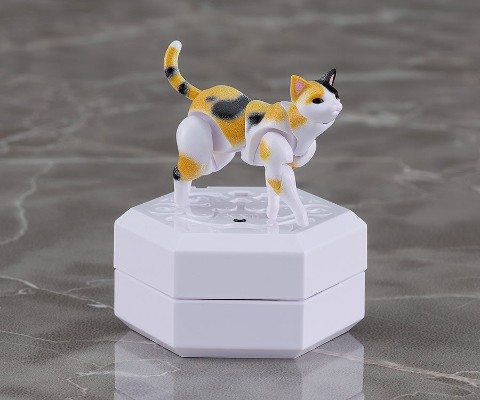 chitocerium nightmare XXII-tanio schrödinger box