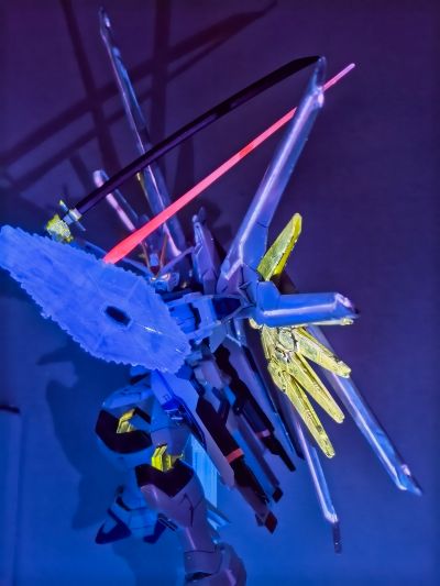 HG 1/144  非凡强袭自由高达