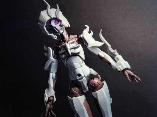 无限邂逅 追踪者