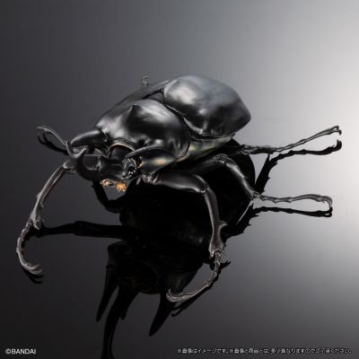 高级生物大图鉴  象兜虫 与 长戟大兜虫 展示架套装