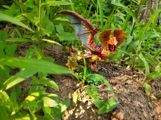 怪物猎人 大怪鸟 