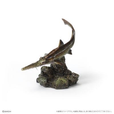 生物大图鉴 迷你系列 鲨鱼02