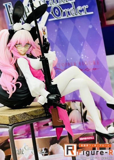 压泡面 命运-冠位指定  暗匿者-光之高扬斯卡娅（最终再临）