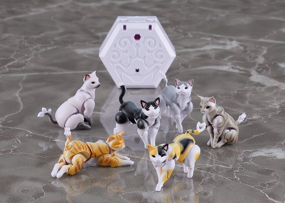 chitocerium nightmare XXII-tanio schrödinger box