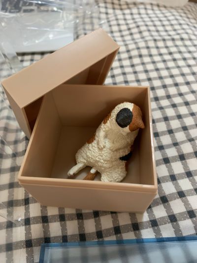 Palette 我家的猫是可爱女孩 换装系列 礼物黄豆粉