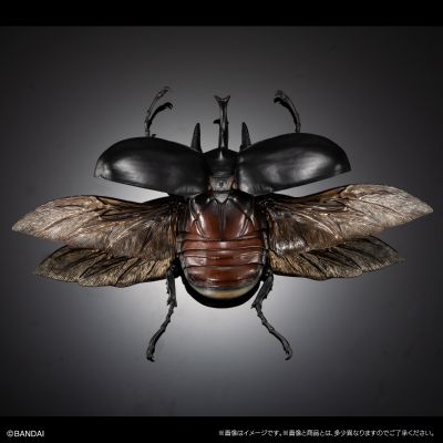 高级生物大图鉴  象兜虫 与 长戟大兜虫 展示架套装