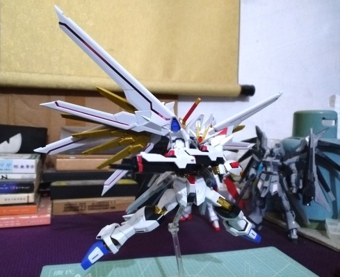 HG 1/144  非凡强袭自由高达