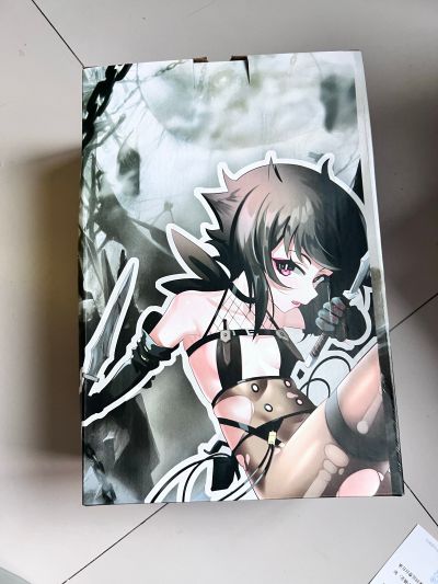 光与影的二重身 暗杀者 诺菈