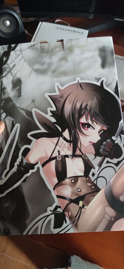 光与影的二重身 暗杀者 诺菈