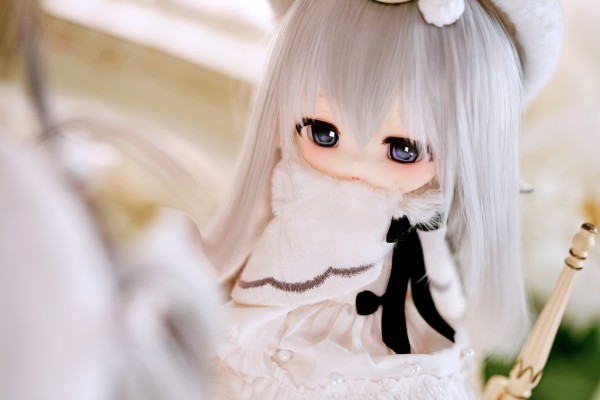 北国之蛾 双子 白桑与灰叶