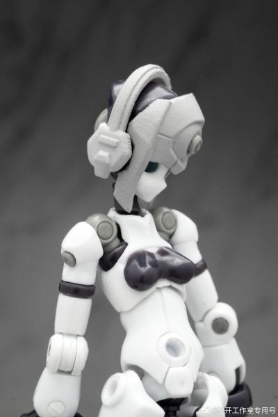 基因干涉系列 多米 素体套装