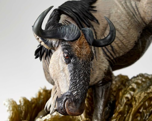 NATURE TALES 尼罗鳄