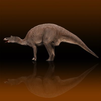 慈母龙 软胶套件复刻版