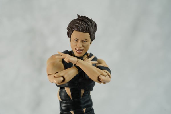 S.H.Figuarts T.M.Revolution