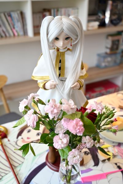 DDS 葬送的芙莉莲 芙莉莲