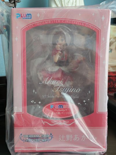 偶像大师 灰姑娘女孩 辻野朱里