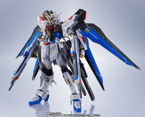 METAL ROBOT魂＜机动战士系列＞强袭自由高达二式
