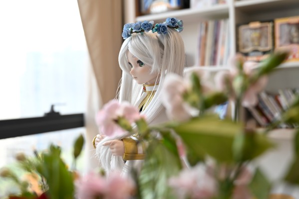 DDS 葬送的芙莉莲 芙莉莲