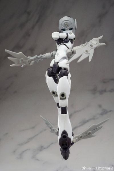 基因干涉系列 多米 素体套装