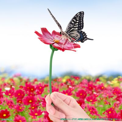 进化生物大图鉴 燕尾蝶 展示架套装