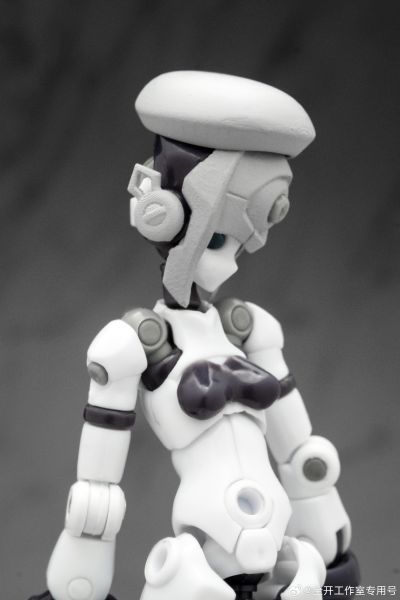 基因干涉系列 多米 素体套装