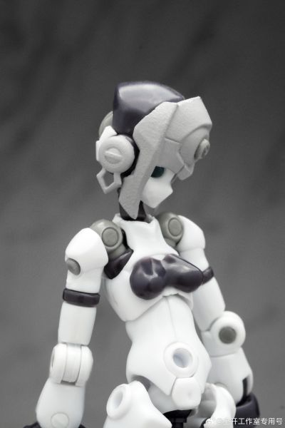 基因干涉系列 多米 素体套装