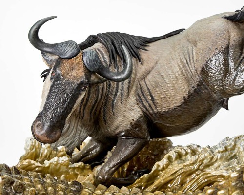 NATURE TALES 尼罗鳄