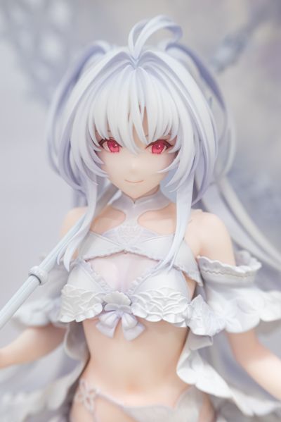 命运-冠位指定  身披角色者-阿瓦隆女士