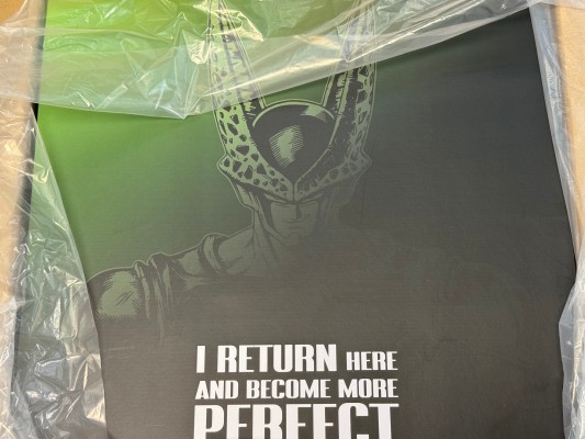 一番赏 龙珠 守护未来的决斗 A奖 完美沙鲁 MASTERLISE