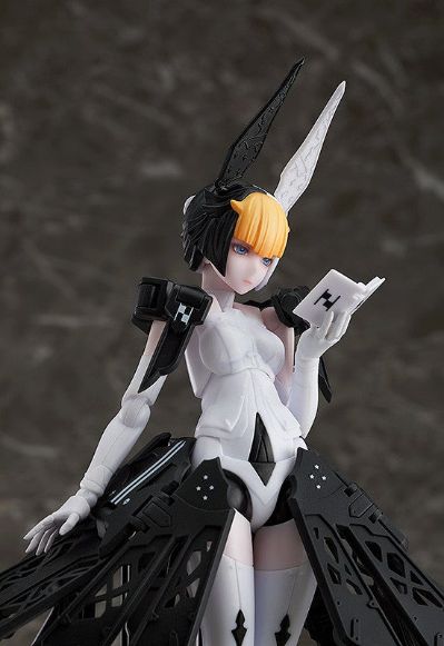 chitocerium ornatio .face 0.2.0.4.0. α