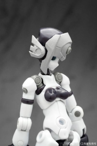 基因干涉系列 多米 素体套装