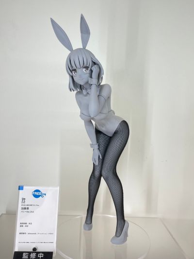 B-style 路人女主的养成方法 Fine 加藤恵 兔女郎版 第2版