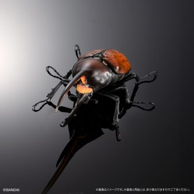 高级生物大图鉴  象兜虫 与 长戟大兜虫 展示架套装