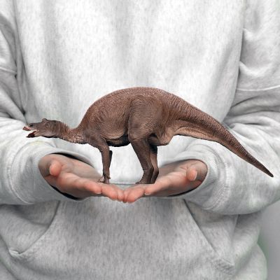 慈母龙 软胶套件复刻版