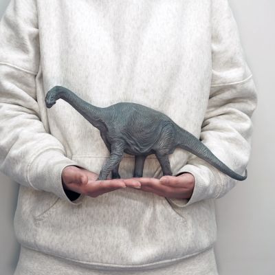 圆顶龙 软胶套件复刻版