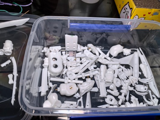 兔女郎服装计划 索菲亚· F· 希琳