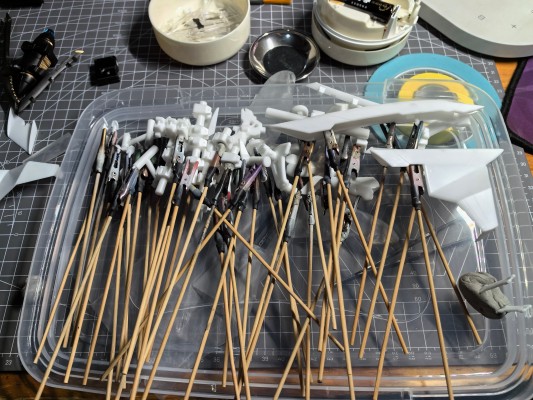 兔女郎服装计划 索菲亚· F· 希琳