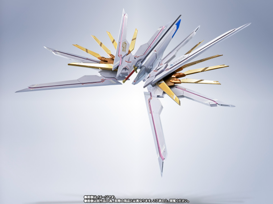 METAL ROBOT魂＜机动战士系列＞ 骄傲捍卫者与特效配件包