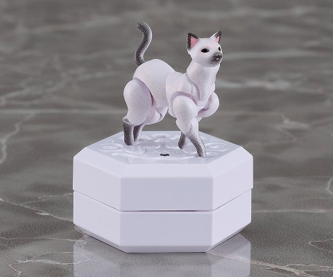 chitocerium nightmare XXII-tanio schrödinger box