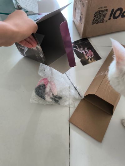 压泡面 命运-冠位指定  暗匿者-光之高扬斯卡娅（最终再临）