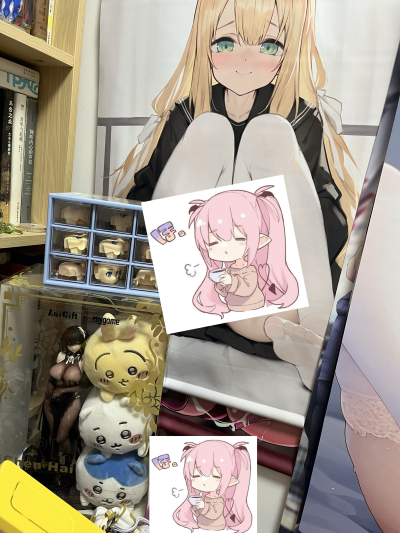 来个exhobby向的房间爆柜