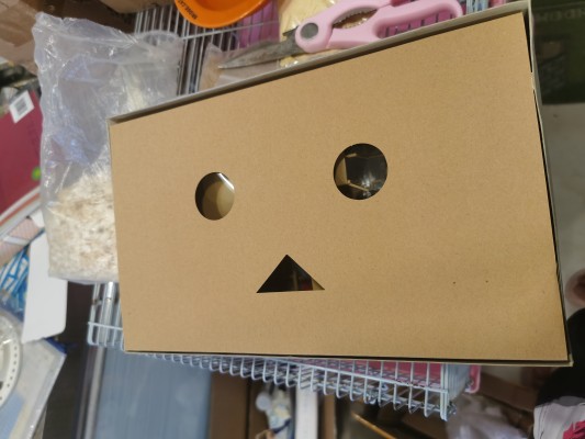 四叶妹妹！ 阿楞