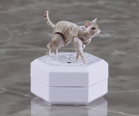 chitocerium nightmare XXII-tanio schrödinger box