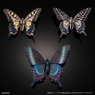 进化生物大图鉴 燕尾蝶 展示架套装