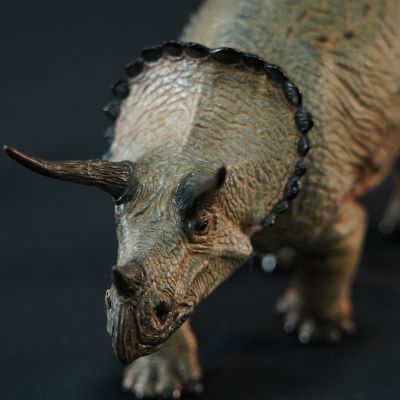 三角龙 软胶套件复刻版