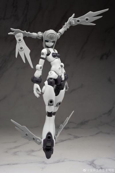 基因干涉系列 多米 素体套装