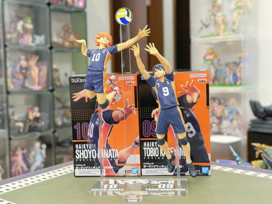 排球少年 英姿人偶 日向翔阳