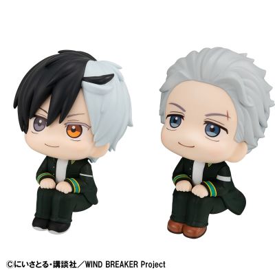 Look Up 防风铃 樱遥